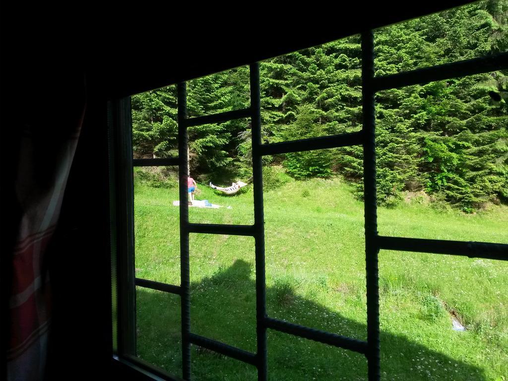 Cabana Pietricica Dimbovicioara Ngoại thất bức ảnh