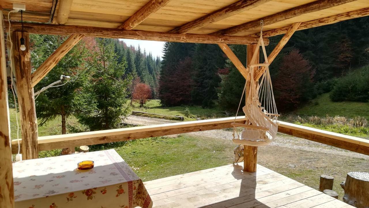 Cabana Pietricica Dimbovicioara Ngoại thất bức ảnh